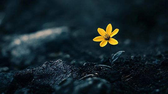 Best hope for the world