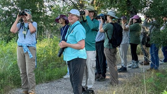 Birding, tram tour guide training available at  Hagerman National Wildlife Refuge
