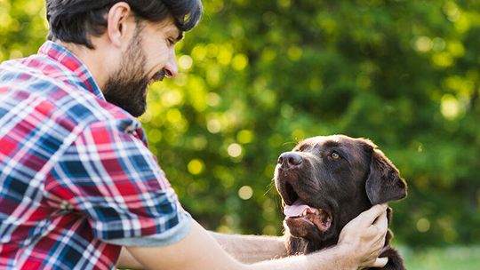 C’ville’s Blessing of the Pets set for June 20
