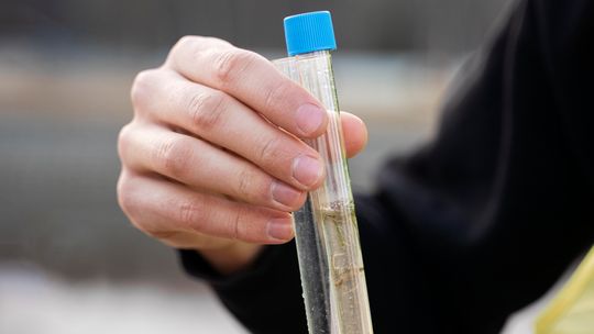 City of Whitesboro conducting mandatory water testing