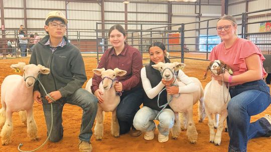 Collinsville High School FFA earns Jackpot honors, prepares for annual fundraiser