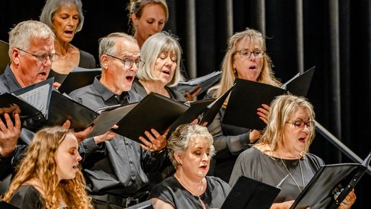 Cooke County comes alive with an evening of Sights and Sounds