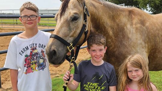 Corporate leadership meets country living