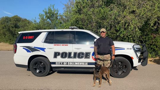 CPD K9 Unit reinstated, apprehends suspect in first week of service