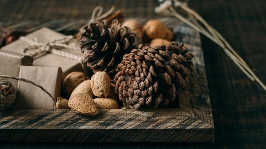 Creating festive cheer while conserving resources, money