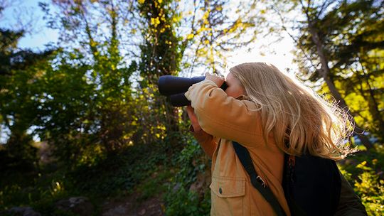 Hagerman NWR to host free bird identification event Feb. 7