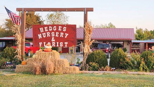 Hedges Nursery sells florist business to local Hayes family