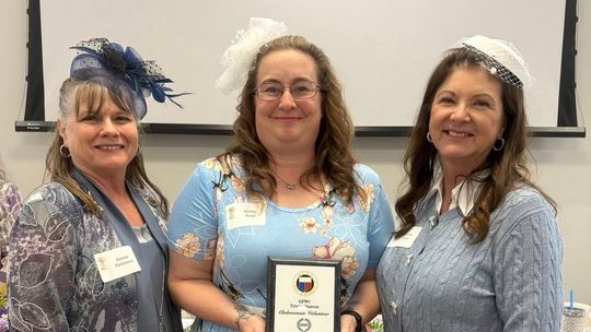 History Club of Whitesboro earns top district honors