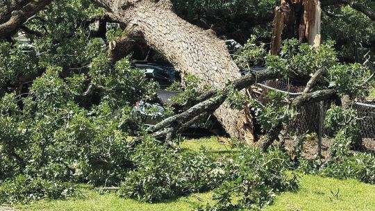 Hurricane-force winds cut a path through Collinsville Sunday night