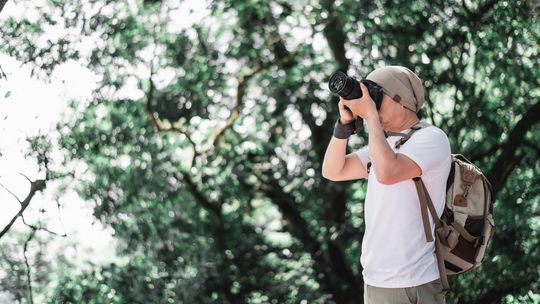 Identify birds of North Texas at free Hagerman NWR event this Saturday