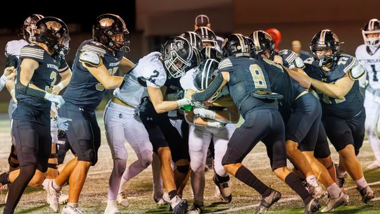 Lindsay hands Tigers first loss