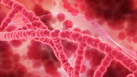 Meteorites and microbes