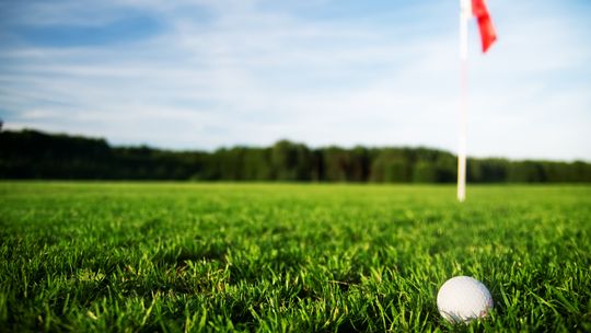 Next Level Center seeks golfers, donors, sponsors for benefit event