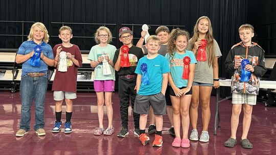 Nine WIS winners awarded at PTO Science Fair