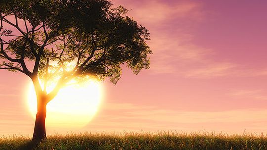 Relentless Texas sun offers perspective