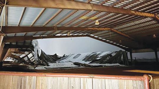 Strong faith, perseverance help local horse trainer weather life’s storms