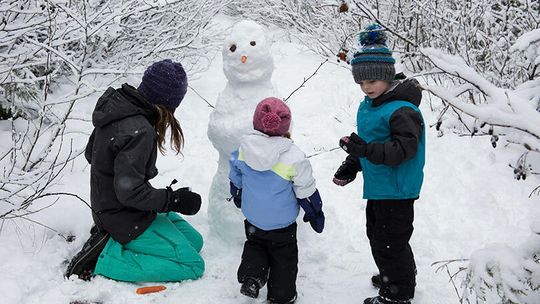 TEA approves WISD waiver for bad weather days