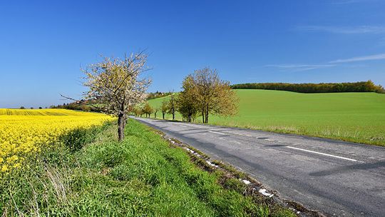 Texas Rural Reporter