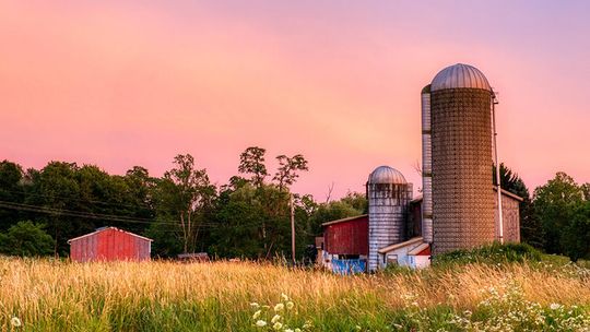Texas Rural Reporter