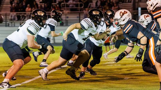 Tomcats too much for Tigers