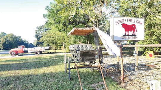 W’boro’s newest antique mall continues Doc Schares’ legacy