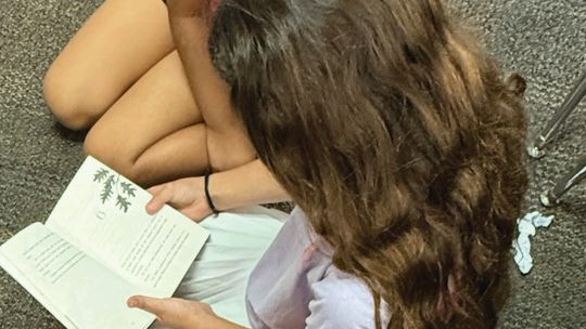 WGRSPA concludes this year’s book project in Collinsville