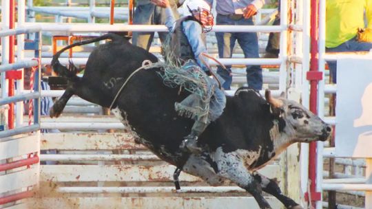 Whitesboro Riding Club to host 68th Annual July 4 Rodeo this weekend