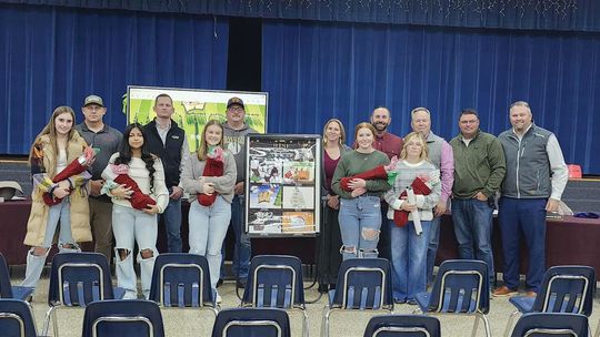 WISD names finalists, winner of Christmas card design contest