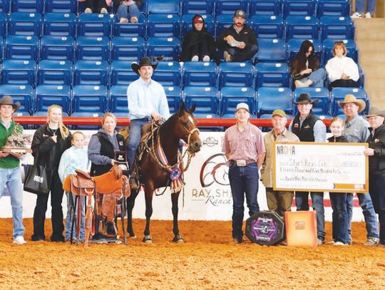 CJ Shopbell Performance Horses owners cite devotion, family teamwork for success in and out of arena