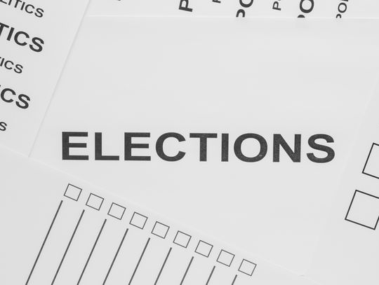 Local city council, ISD board ballots set