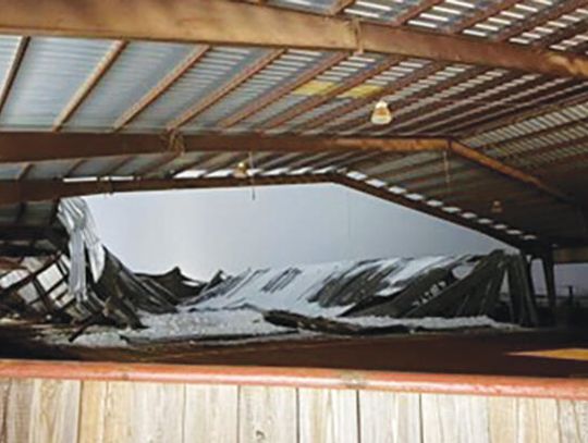 Strong faith, perseverance help local horse trainer weather life’s storms