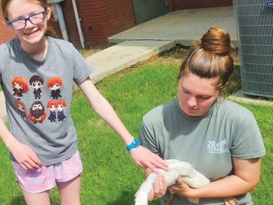 Turning the page on a new chapter: Exciting times at Whitesboro Public Library