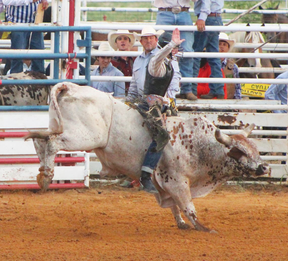 66th Annual WRC Rodeo draws record crowds