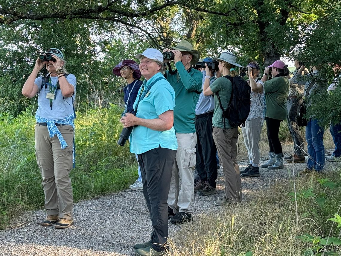 Birding, tram tour guide training available at Hagerman National Wildlife Refuge Birding, tram tour guide training available at Hagerman National Wildlife Refuge
