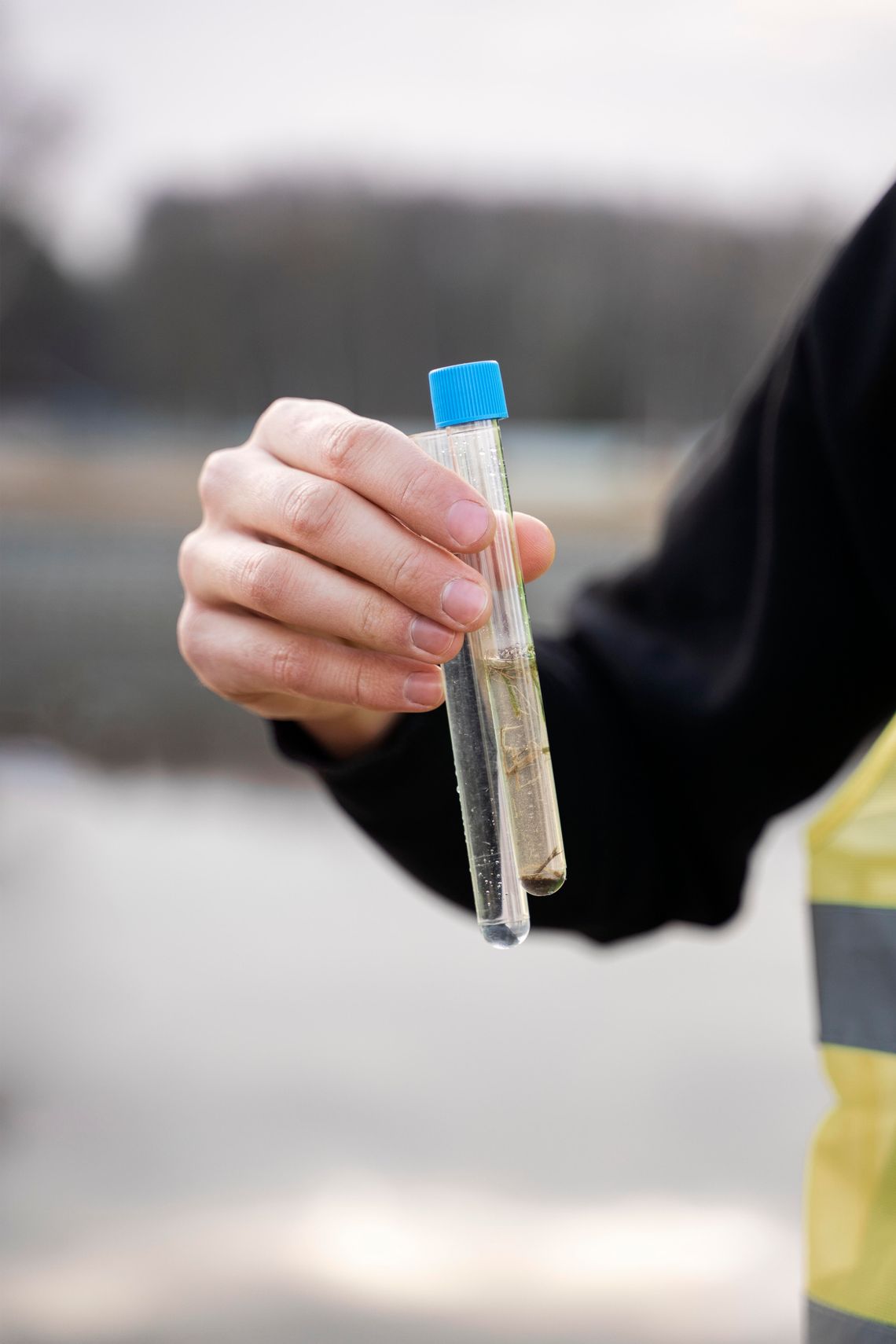 City of Whitesboro conducting mandatory water testing