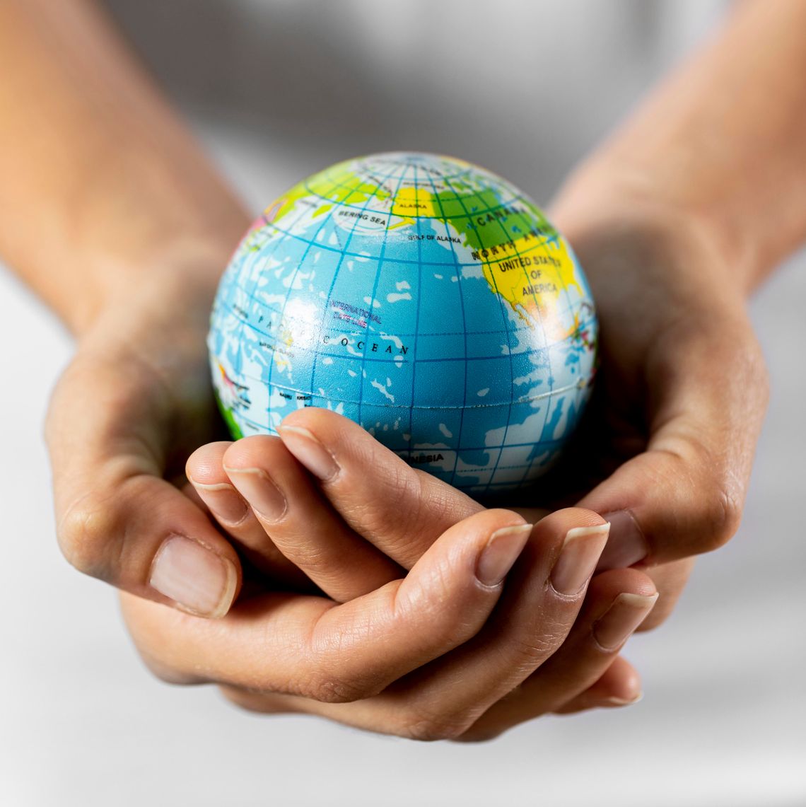 Foreign exchange student program seeks host families