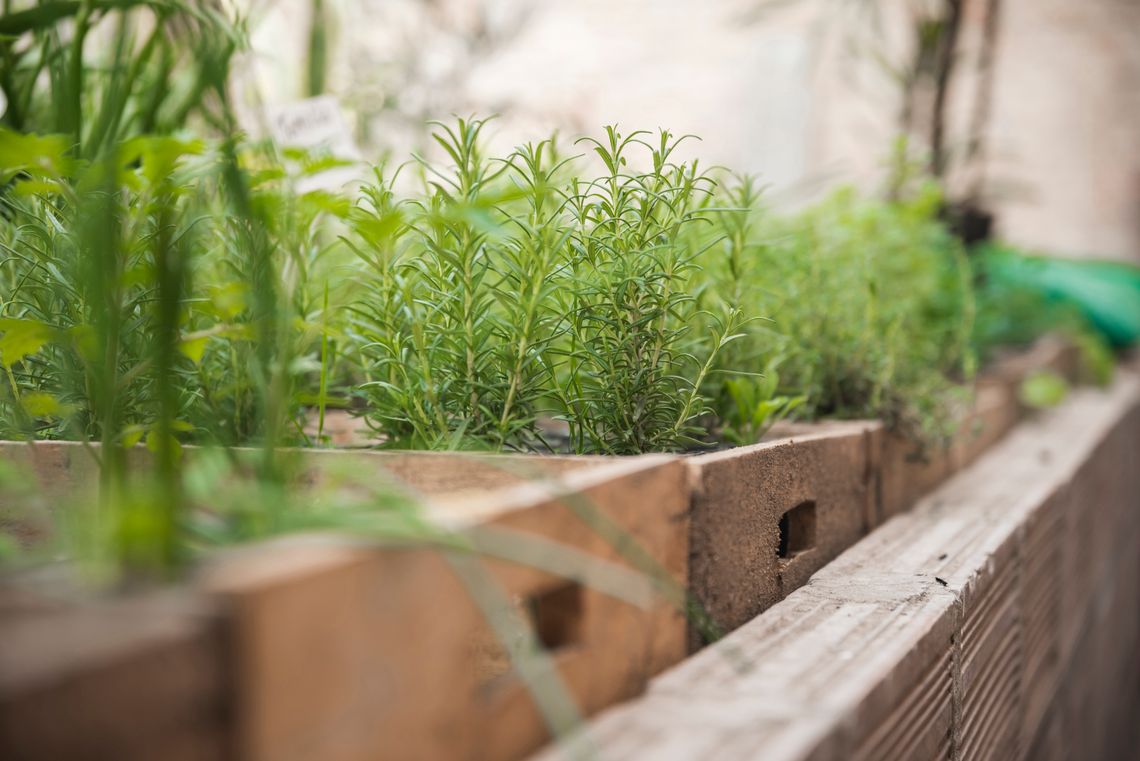 Frontier Village to host herb garden workshop