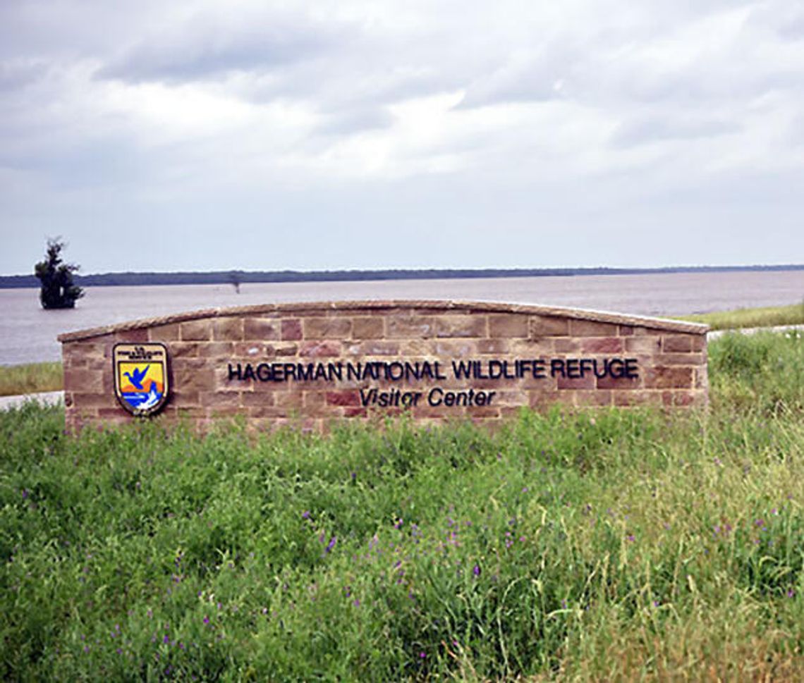 Going wild for 80 years