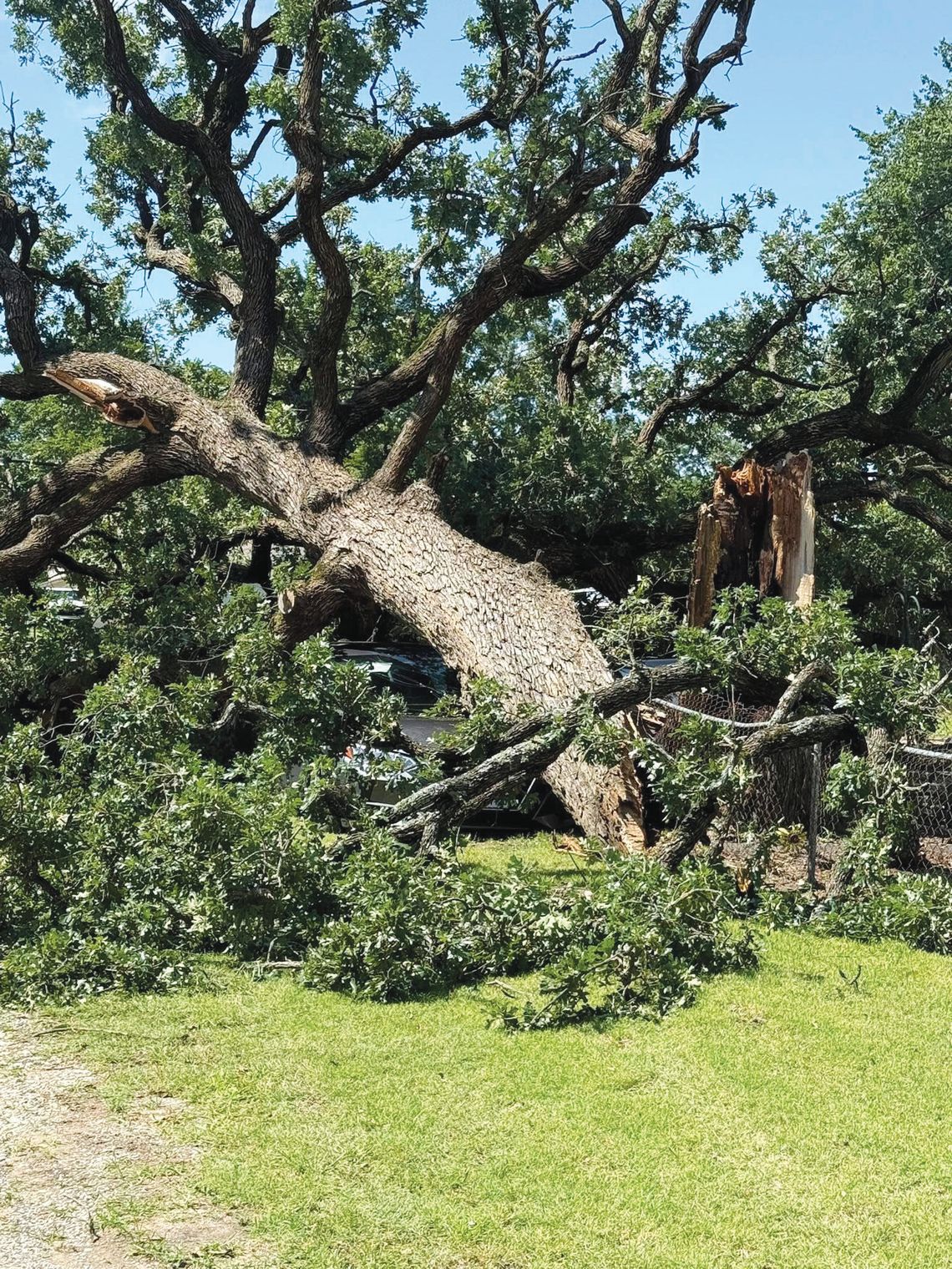 Hurricane-force winds cut a path through Collinsville Sunday night Hurricane-force winds cut a path through Collinsville Sunday night