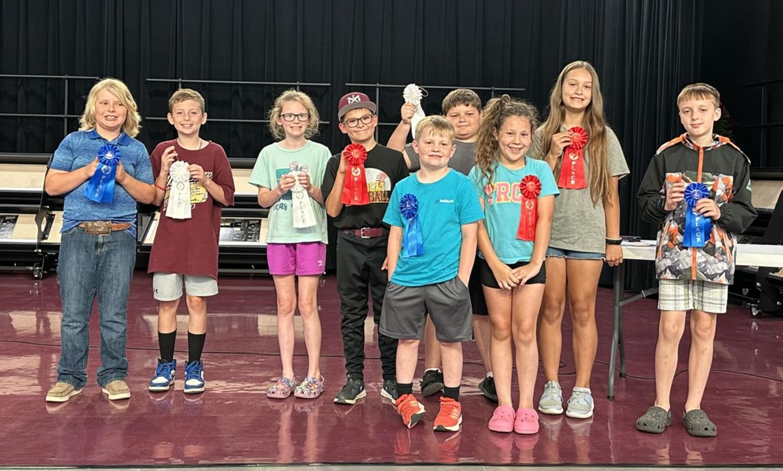 Nine WIS winners awarded at PTO Science Fair