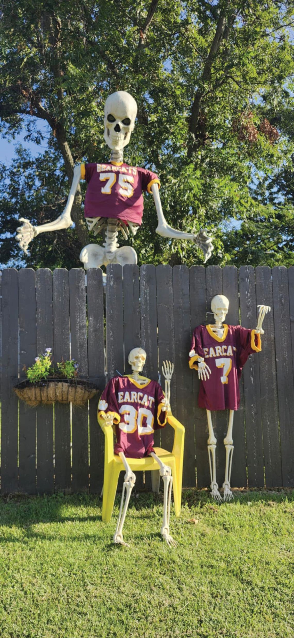 No bones about it... No bones about it...