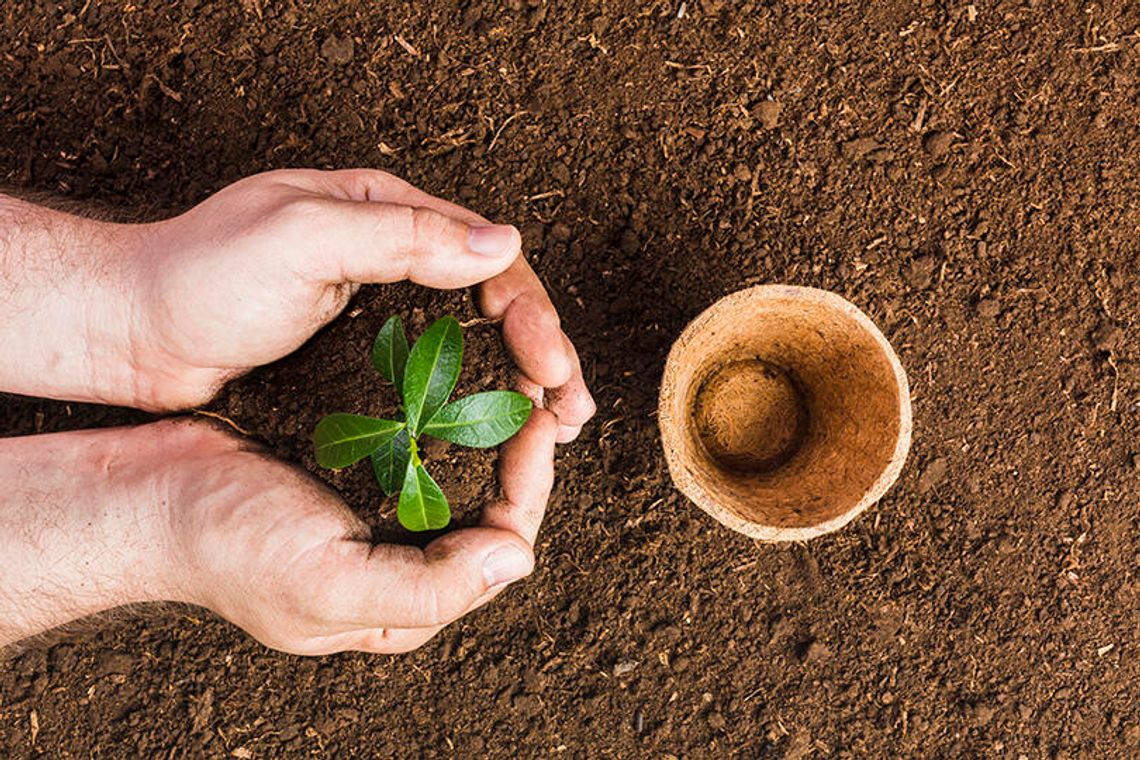 Sow the seeds of faith early and often