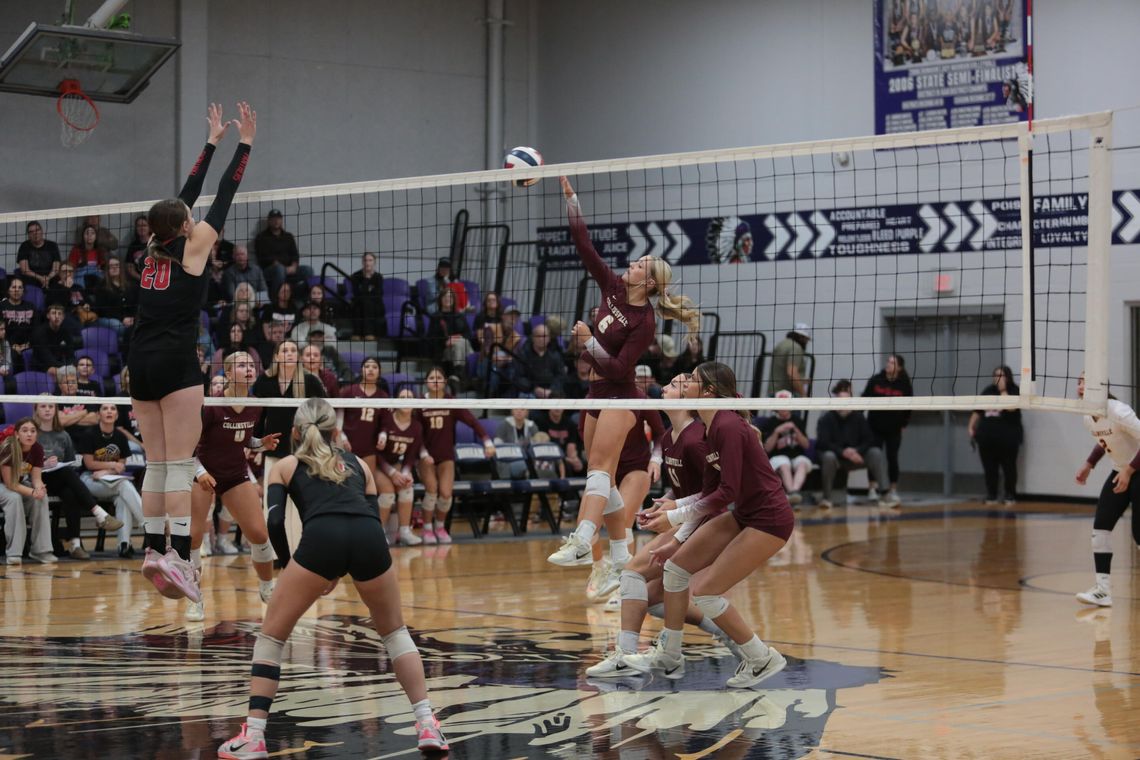 Sport Shorts Sport Shorts