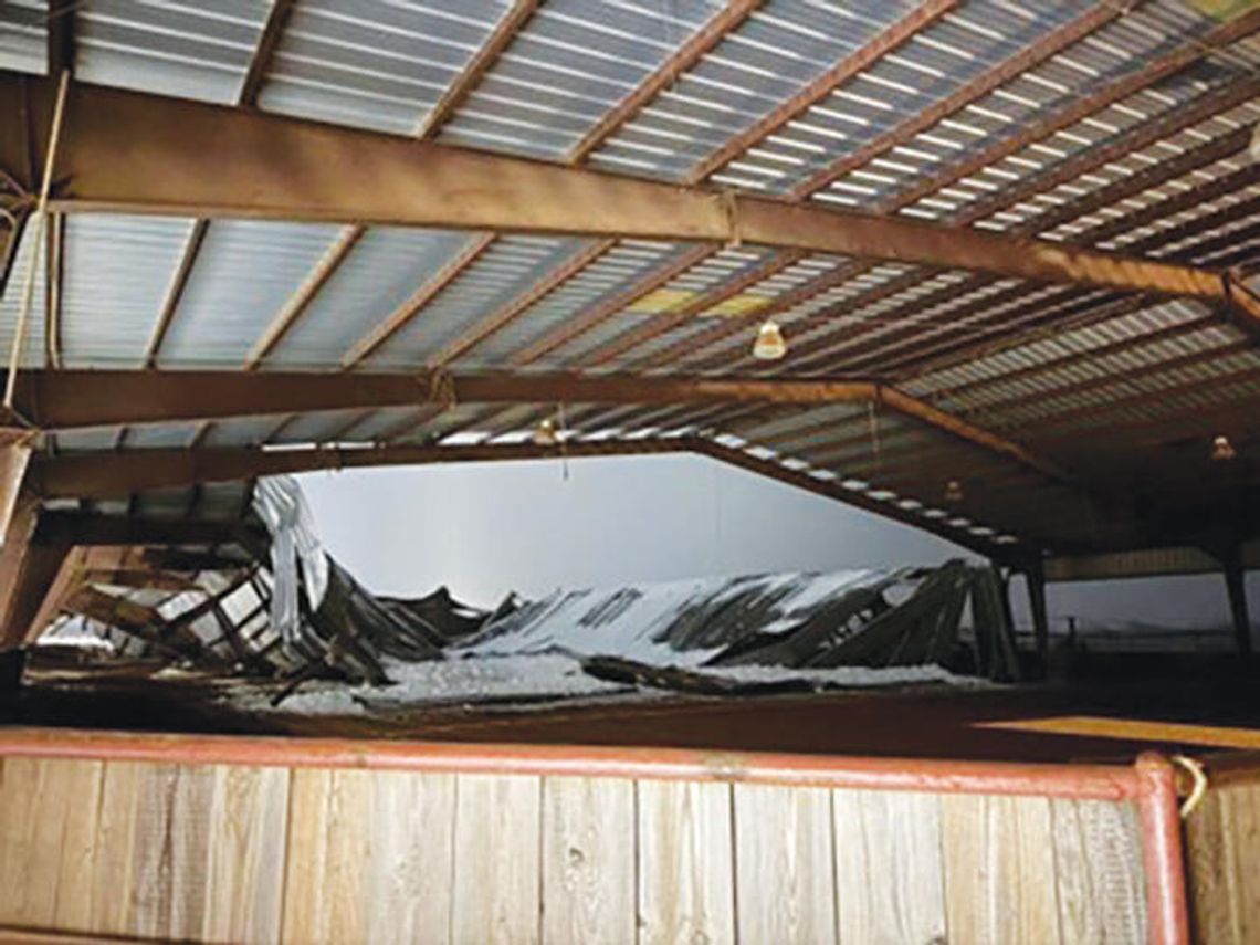 Strong faith, perseverance help local horse trainer weather life’s storms