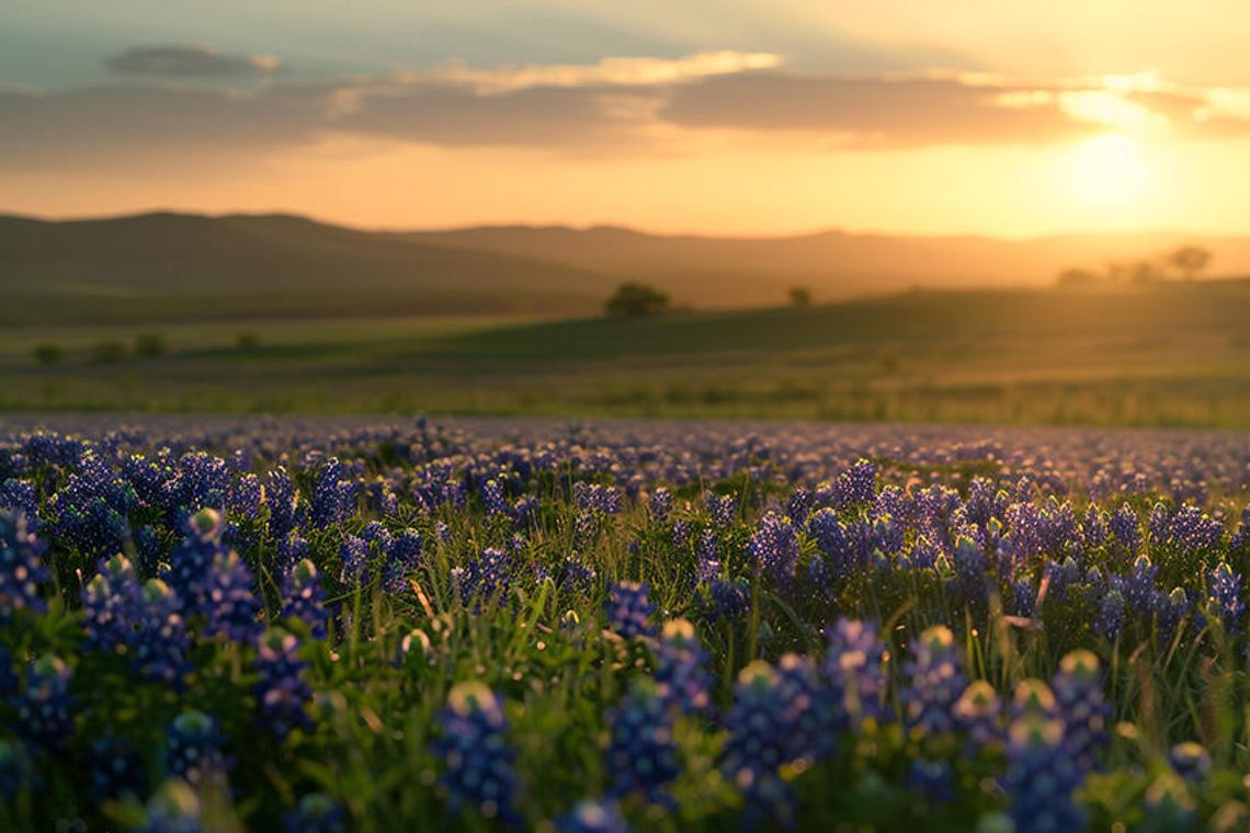 Texas Independence isn’t a party