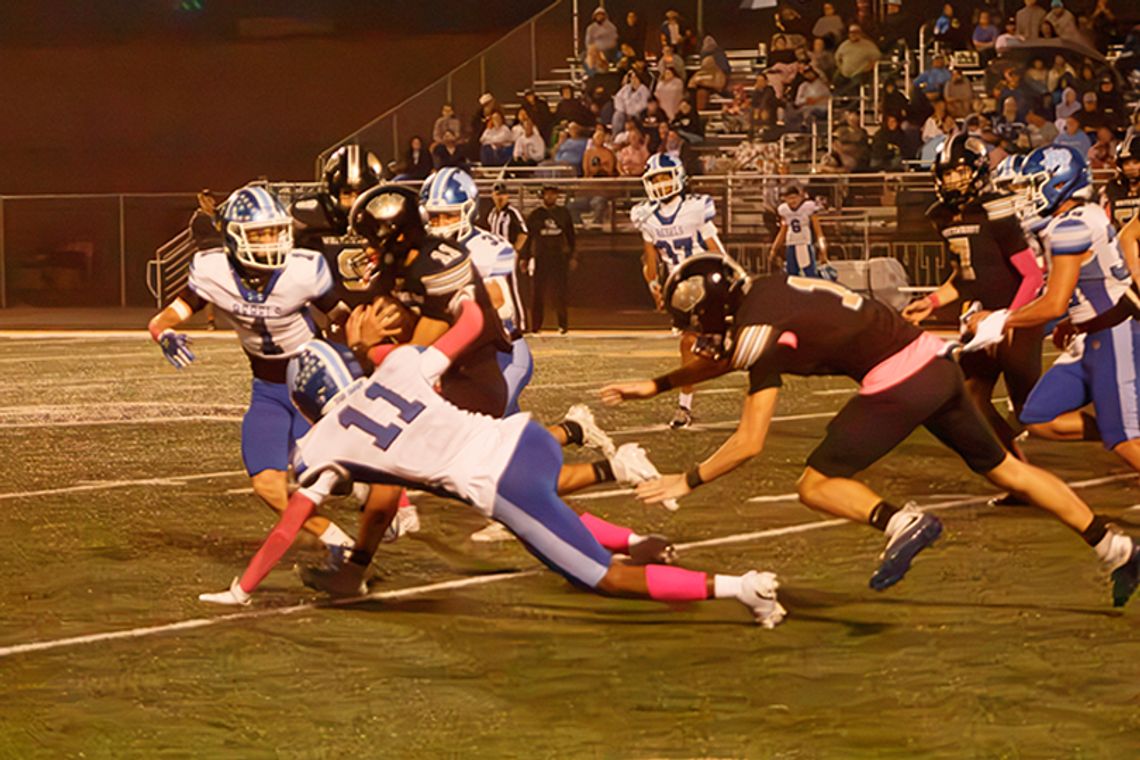 Tigers rip Rebels, 41-7