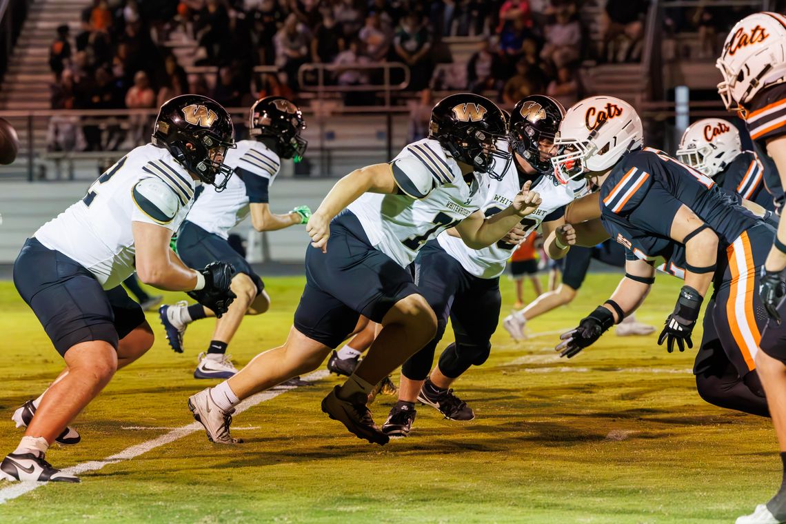 Tomcats too much for Tigers Tomcats too much for Tigers