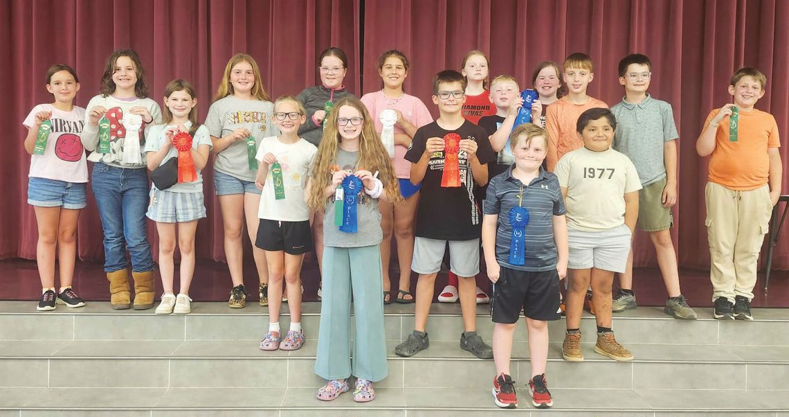 W’boro PTO hosts annual Science Fair W’boro PTO hosts annual Science Fair