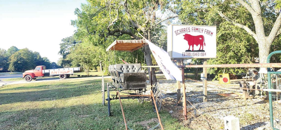 W’boro’s newest antique mall continues Doc Schares’ legacy