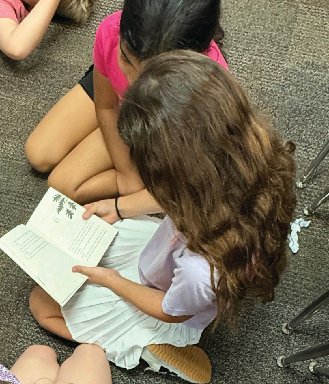 WGRSPA concludes this year’s book project in Collinsville WGRSPA concludes this year’s book project in Collinsville